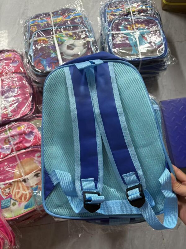 MOQ100pcs School Bag Mixed Design for Boys and girls